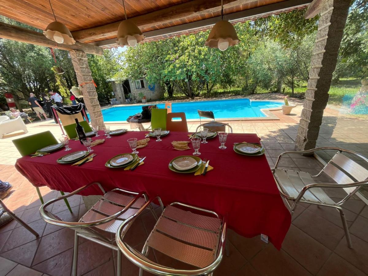Big Relax Apartment With Swimming Pool And A Peaceful Garden In A Private Villa Sestu Eksteriør bilde