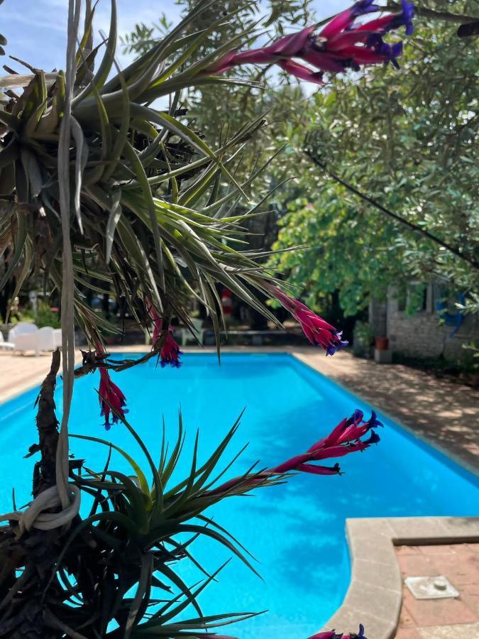 Big Relax Apartment With Swimming Pool And A Peaceful Garden In A Private Villa Sestu Eksteriør bilde
